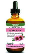 Mother Tincture Echi…