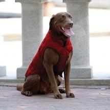 Loft Dog Coat, Barn …