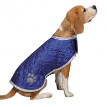 Casual canine coats …